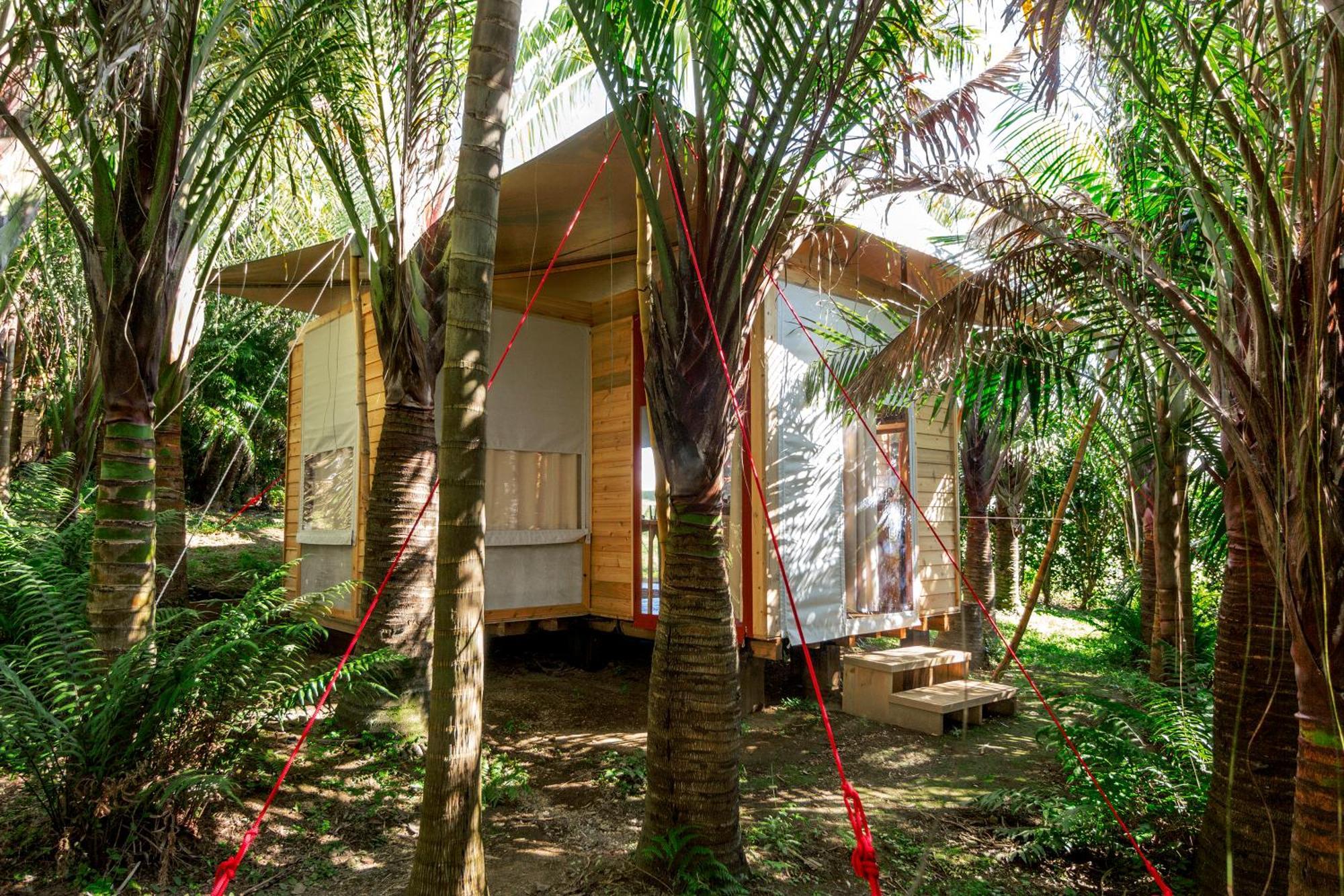 Azul Singular Hotell Horta  Rum bild